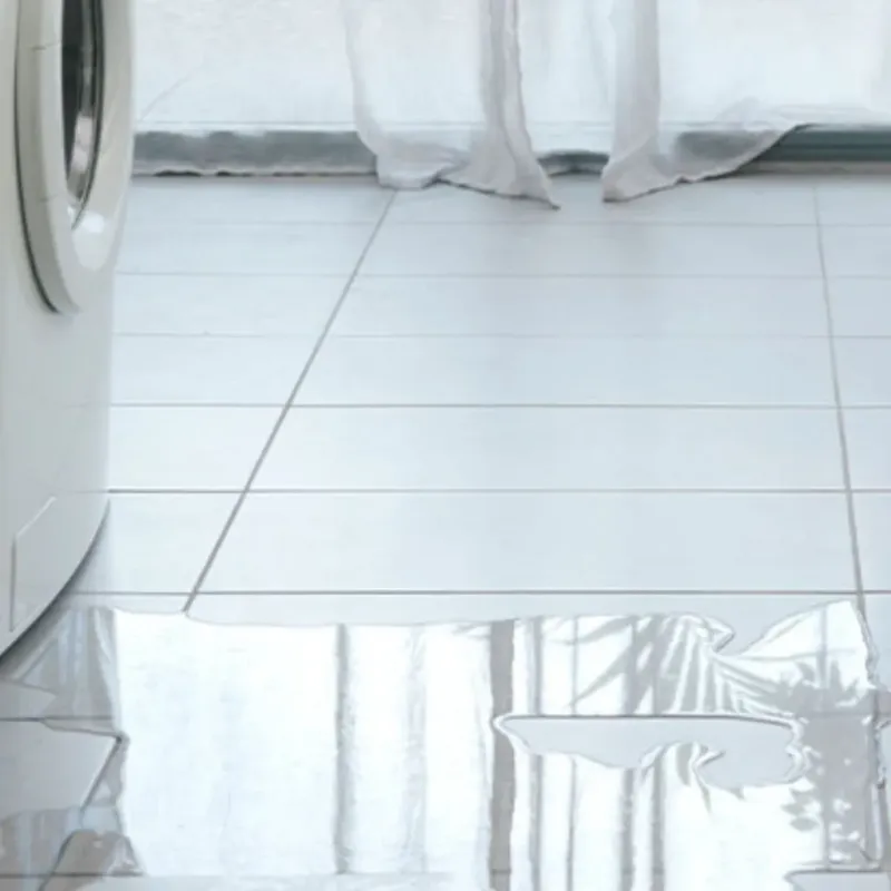 Appliance Leak Cleanup in Pahokee, FL