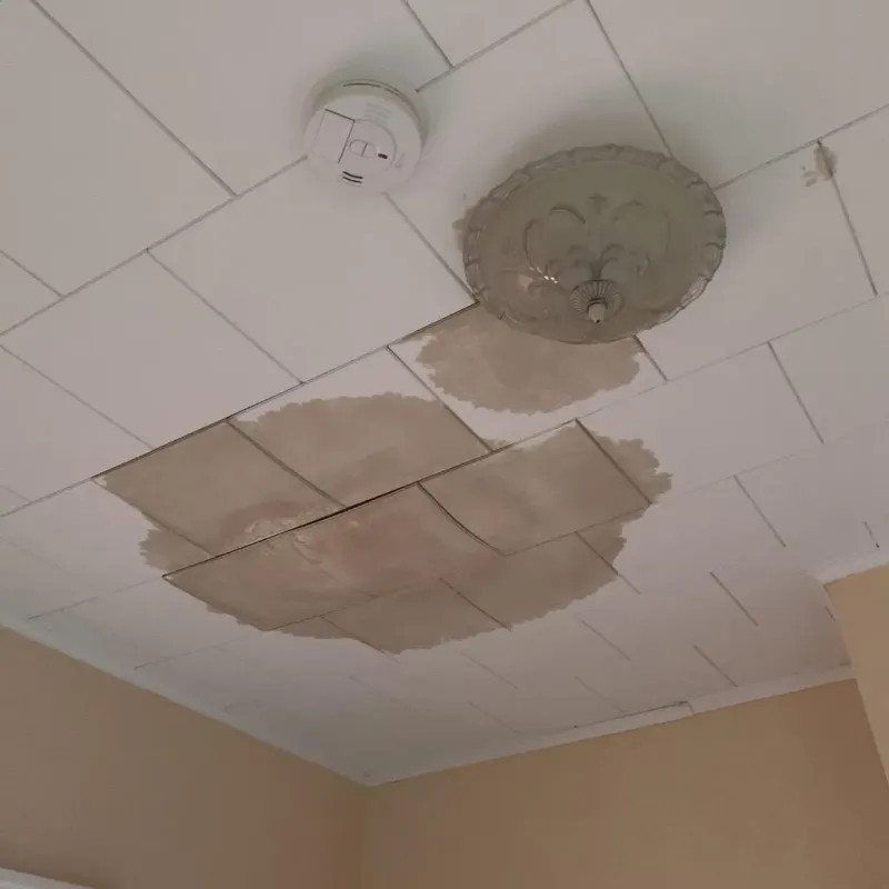 Ceiling Water Damage Repair in Pahokee, FL